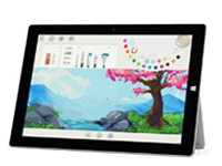 杜尔伯特Surface 无法开启、Windows 无法启动或电池无法充电