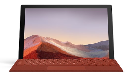 杜尔伯特清洁和维护 Surface